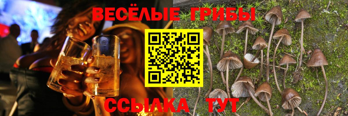 Галлюциногенные грибы MAGIC MUSHROOMS Королёв